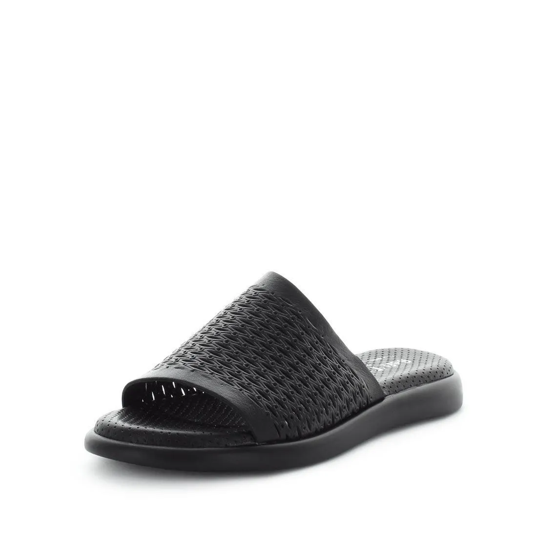 BRAMA - Black