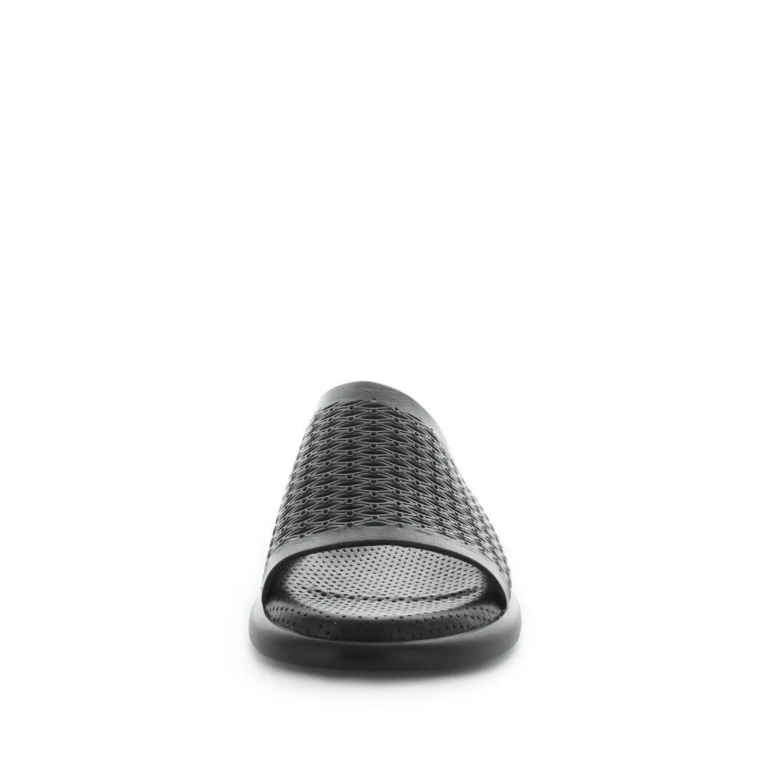 BRAMA - Black