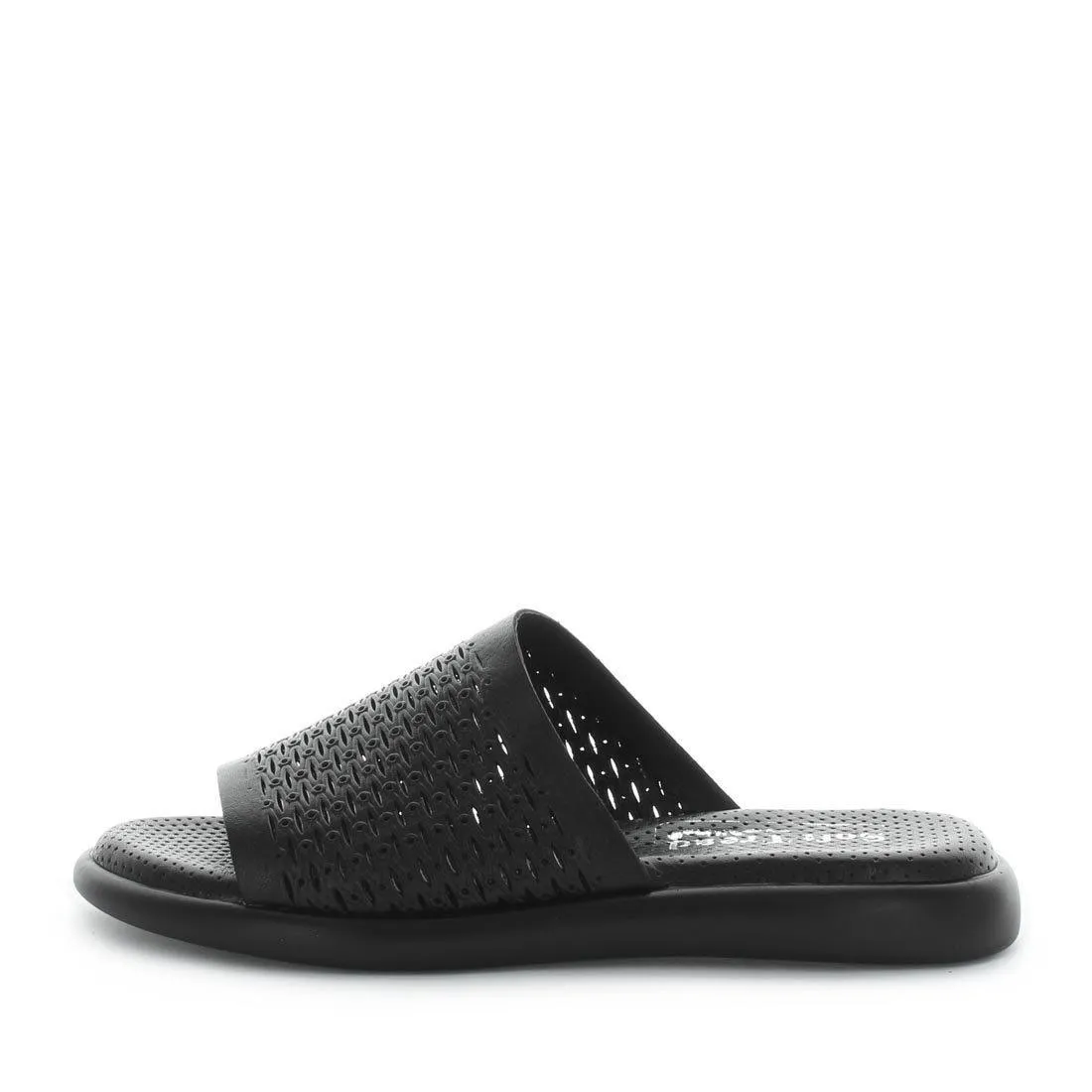 BRAMA - Black