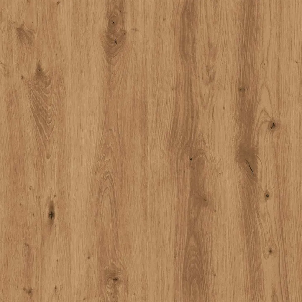 Shoe Cabinets 2 pcs Artisan Oak 52x30x50 cm